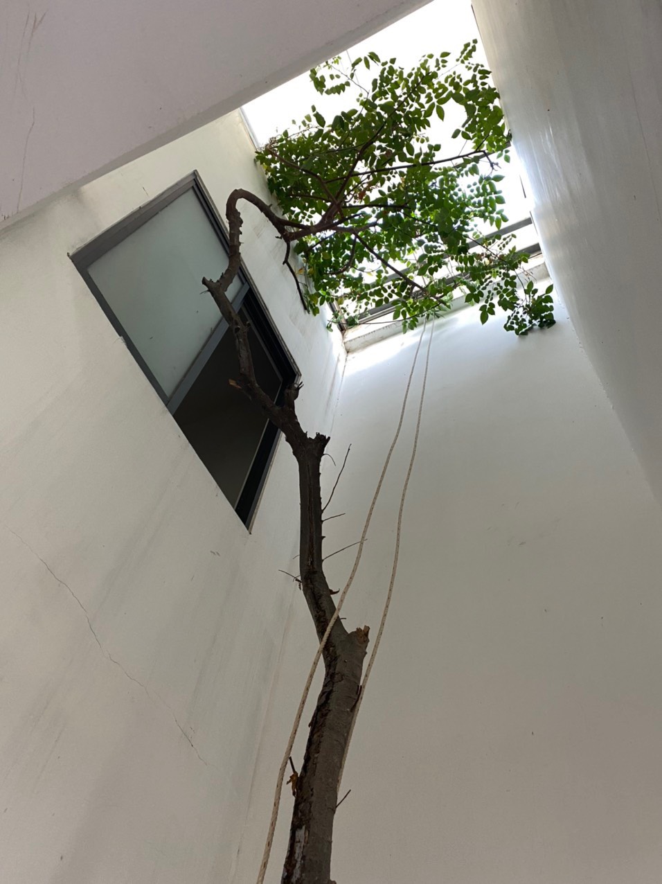 z4226104814843_f4fade1f8e16854e3ee32a91e949ce48