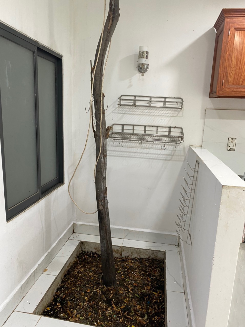 z4226104831638_352d6b8c3307ea9832da2a2685973e94