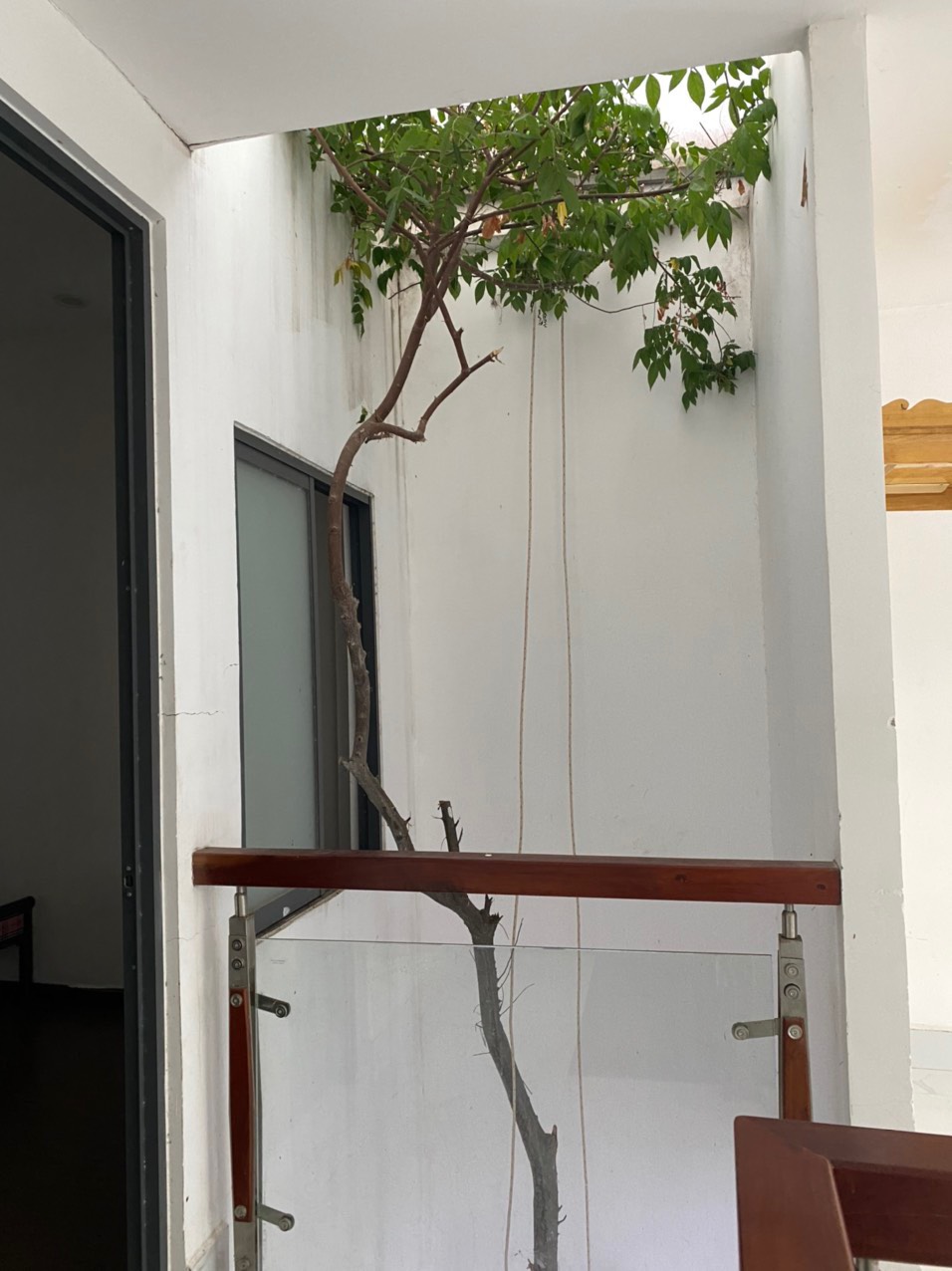 z4226104843627_cbcf8a82291f5bc7f2f6ca683ea17c85