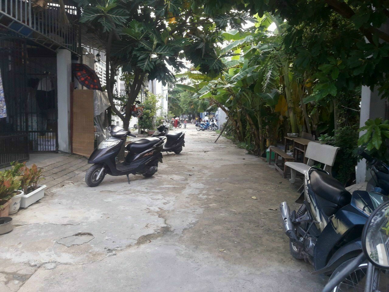 z4238990573323_2f65a9f0629d3128e25fc77d67633875