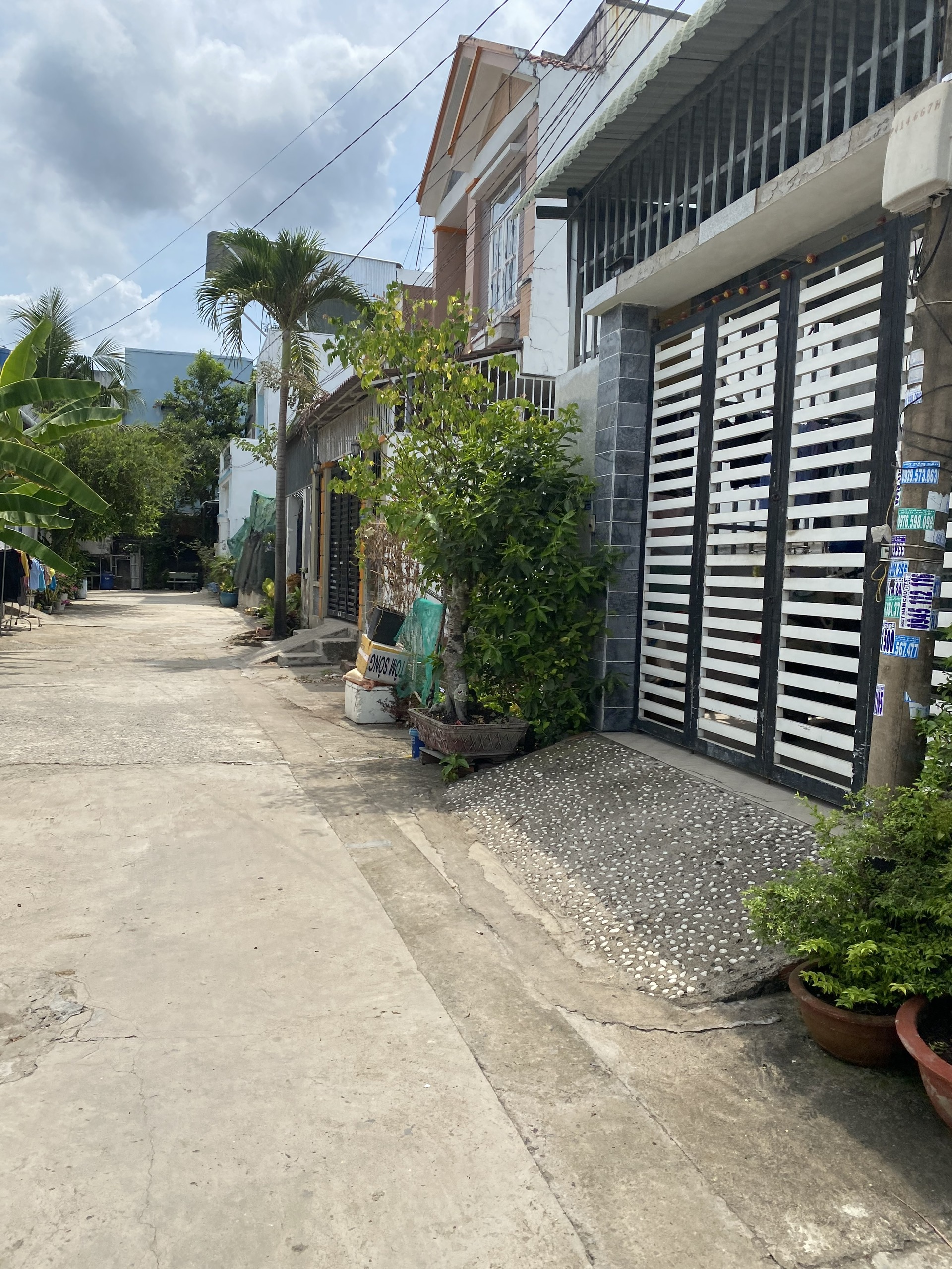 z4239939363466_f68417b7d0c730779246dc6b19f14aed