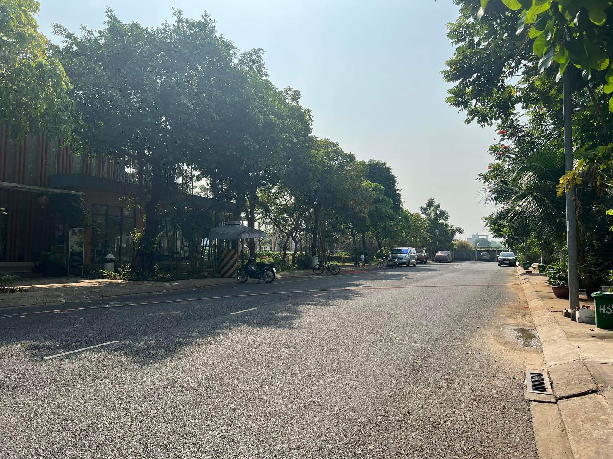 z4244838208558_83753546e43702ebc17a94d55f5082ba