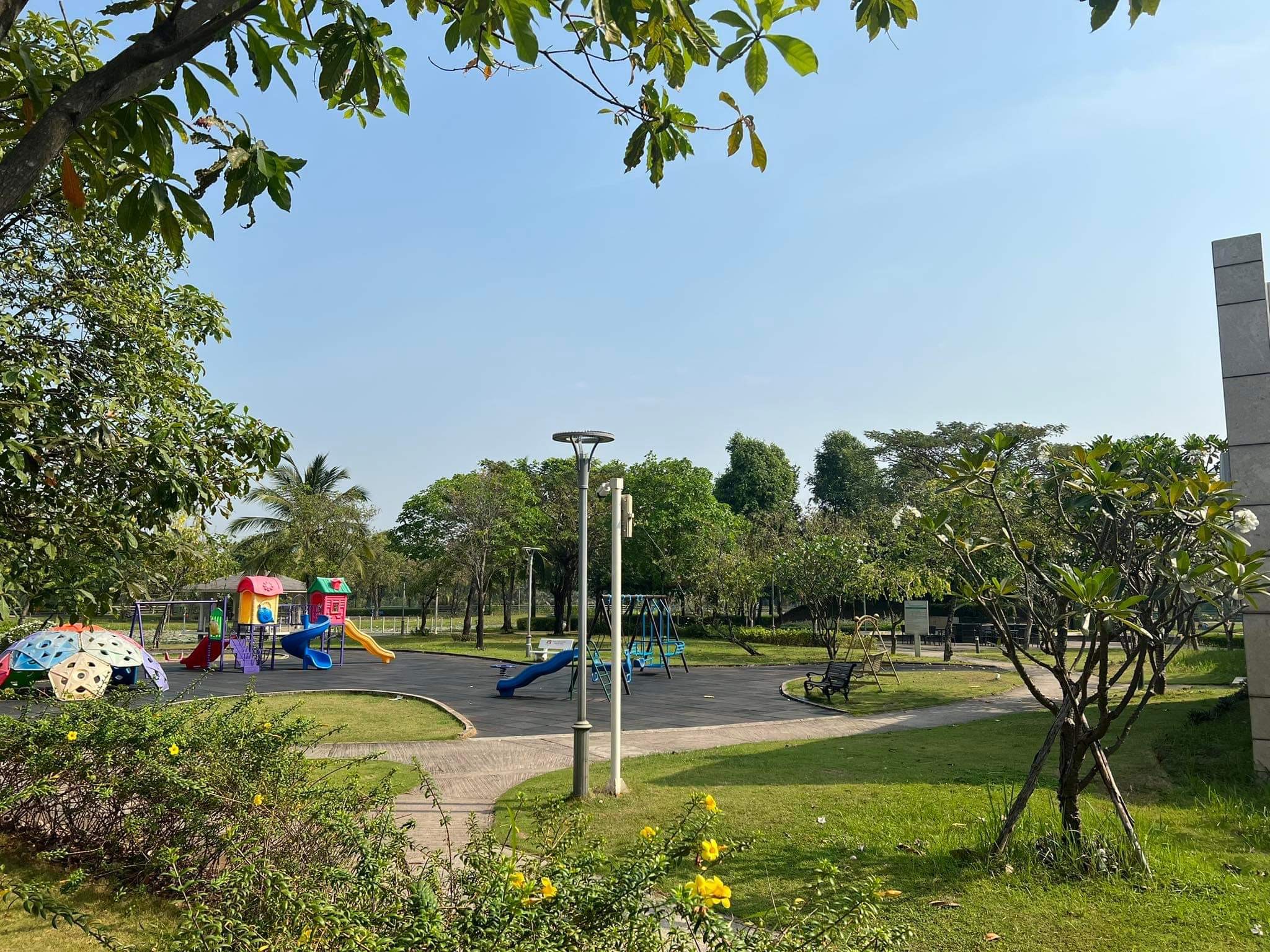 z4244838228473_06a4793da65a2d5071a981515ccdafb0