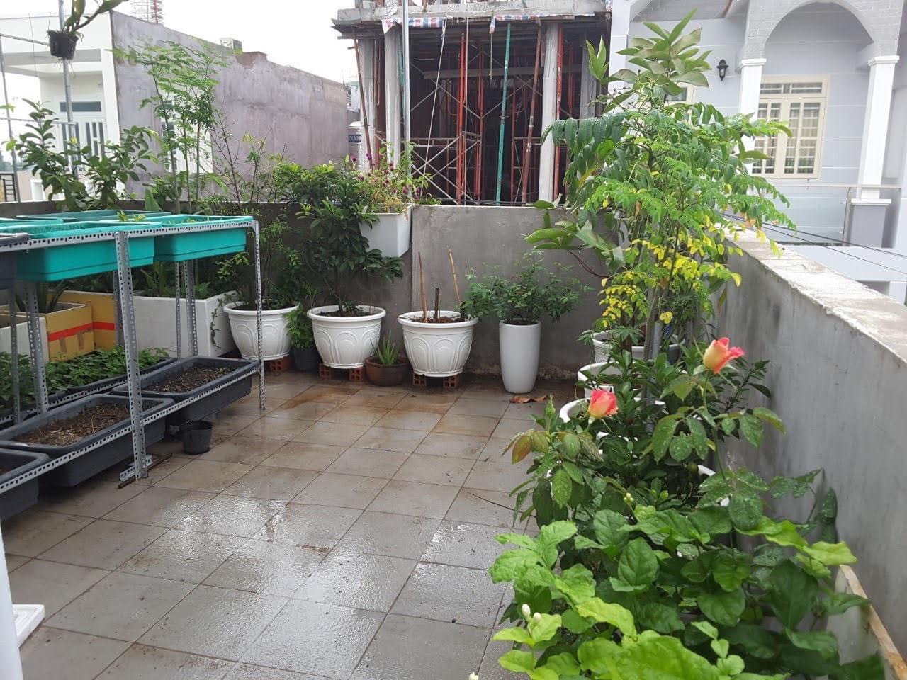 z4350023822989_080f80e572c3d67ee4d3687280f3c239