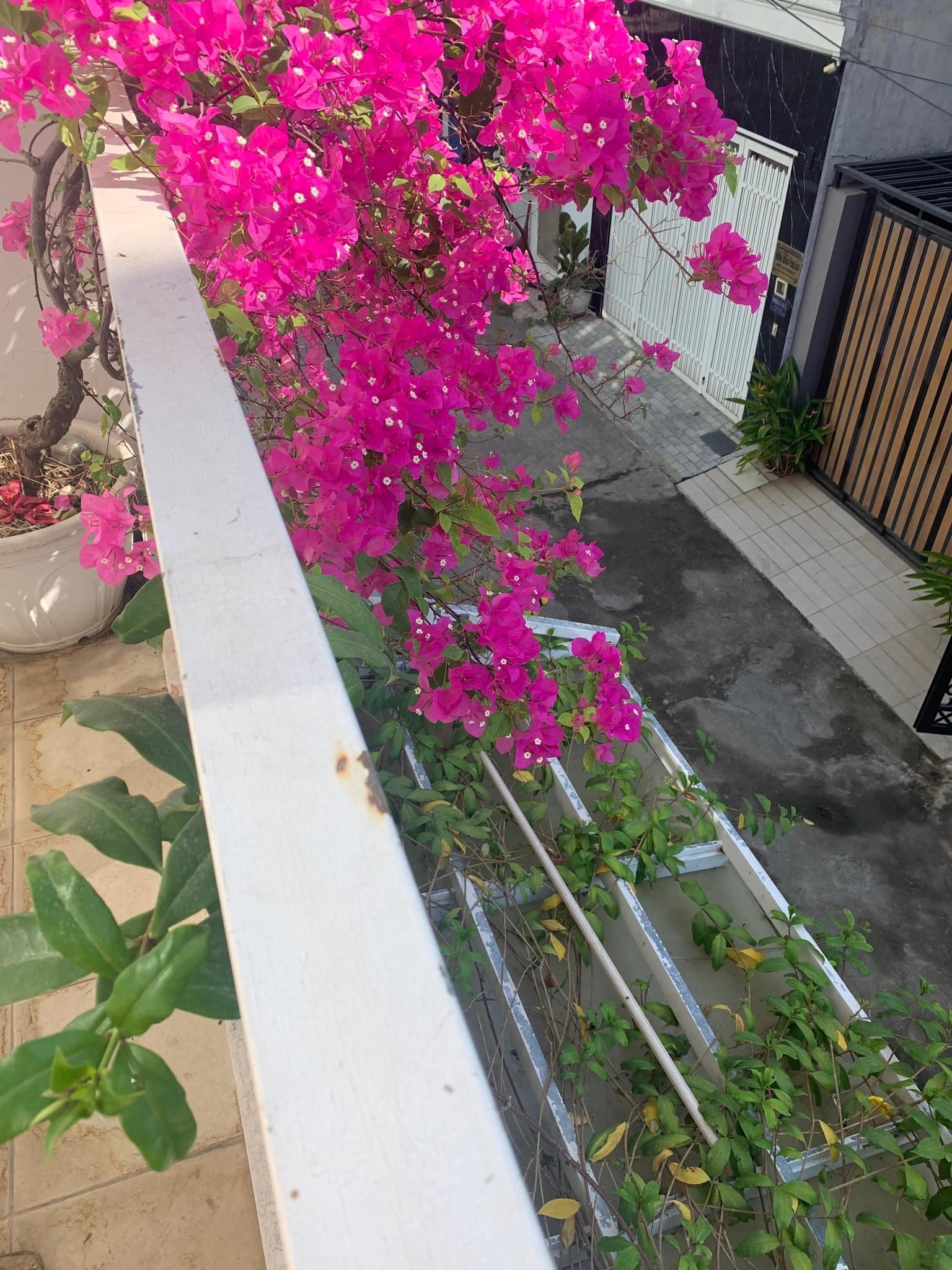 z4350023884641_d21e526af353e6a659108d17d291f588