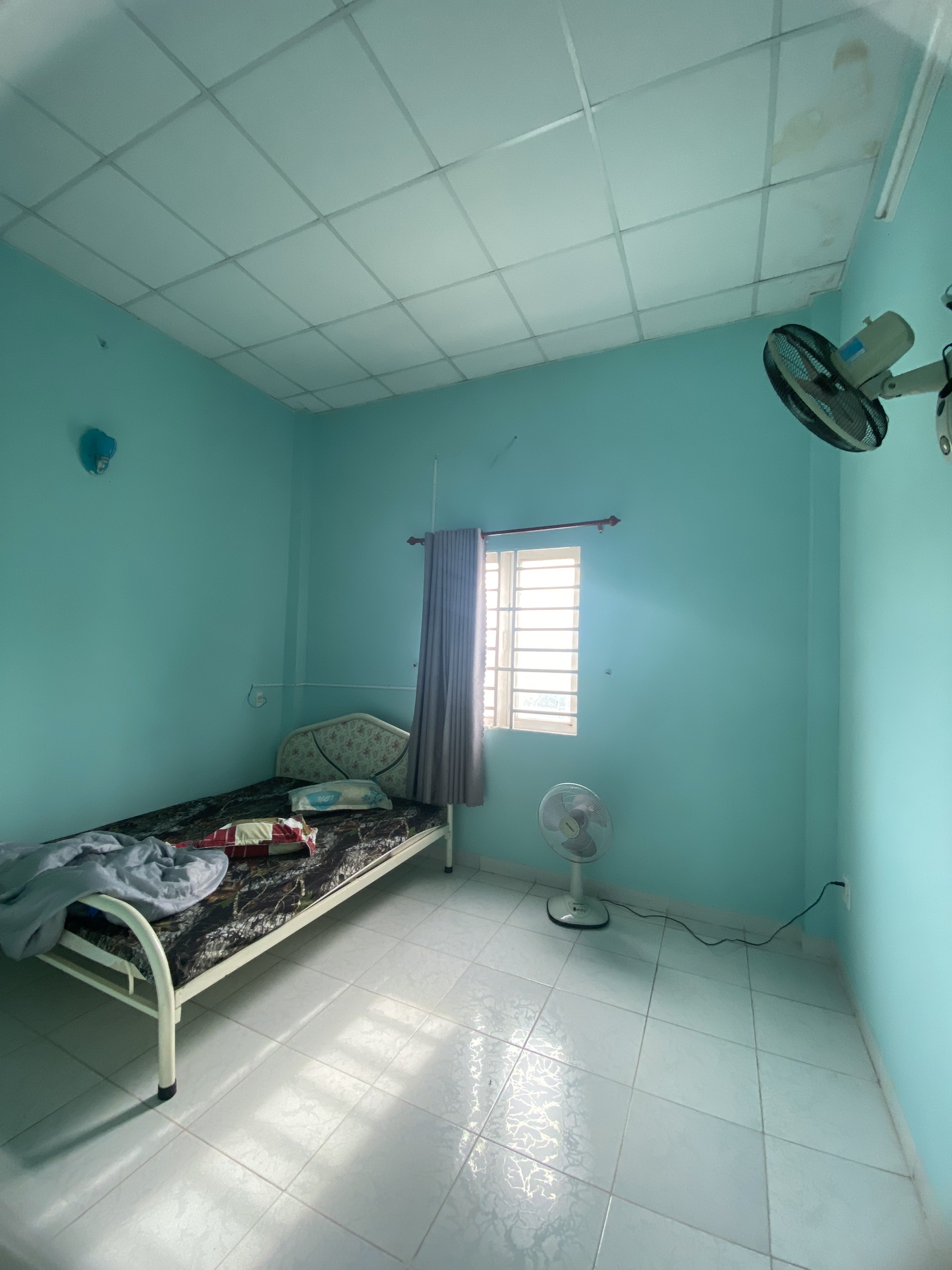 z4711020683229_4e2ed5e6cdf05a271ae39c3a23484ae1