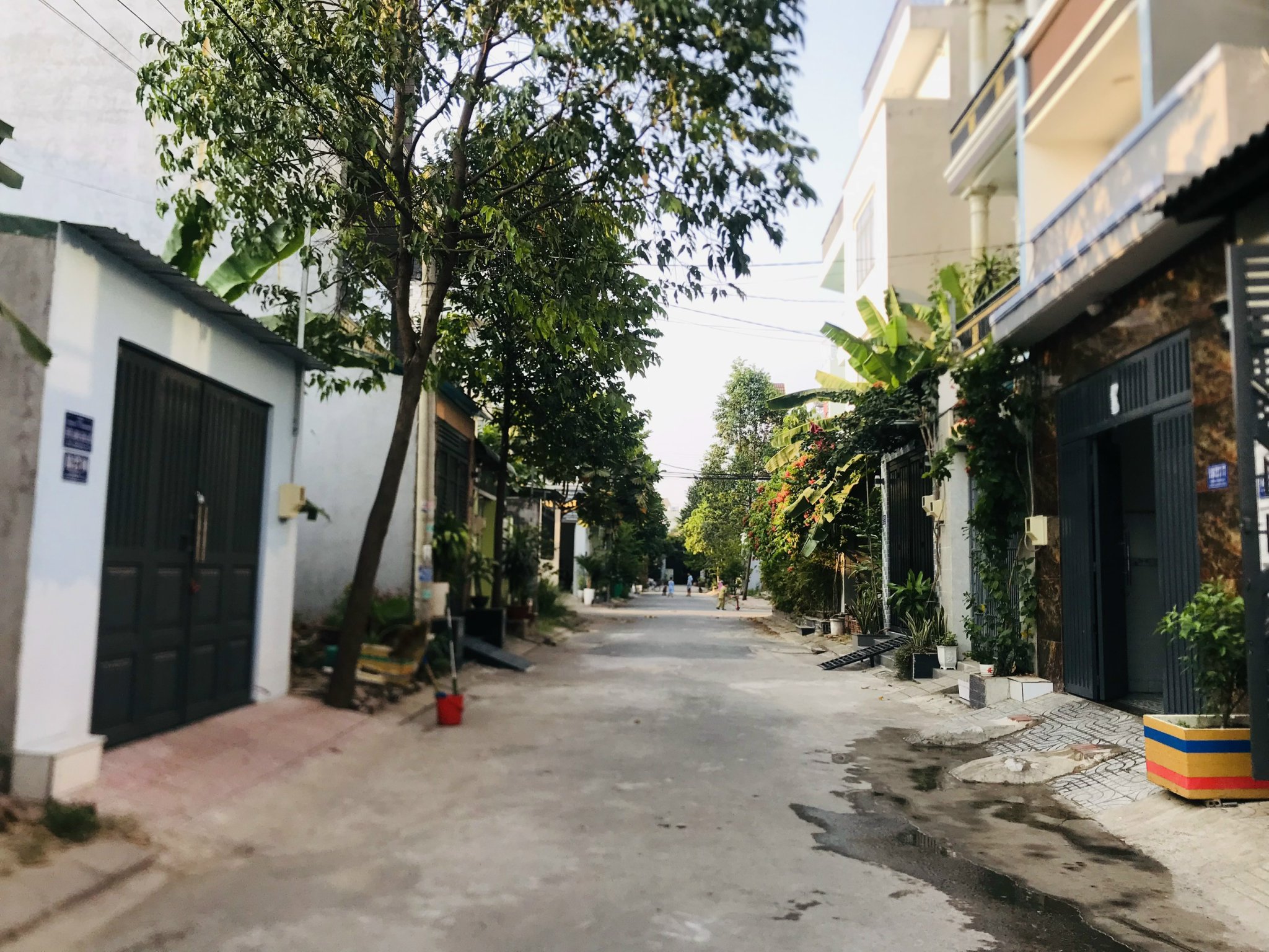 z4727486122905_ec17ab6ac011053f20fa35db7a1035e5