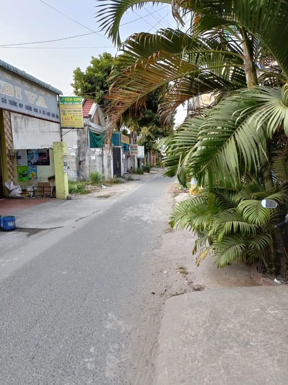 z4727555172065_73827c9c5e7a79a4d831dfab8dc12c89