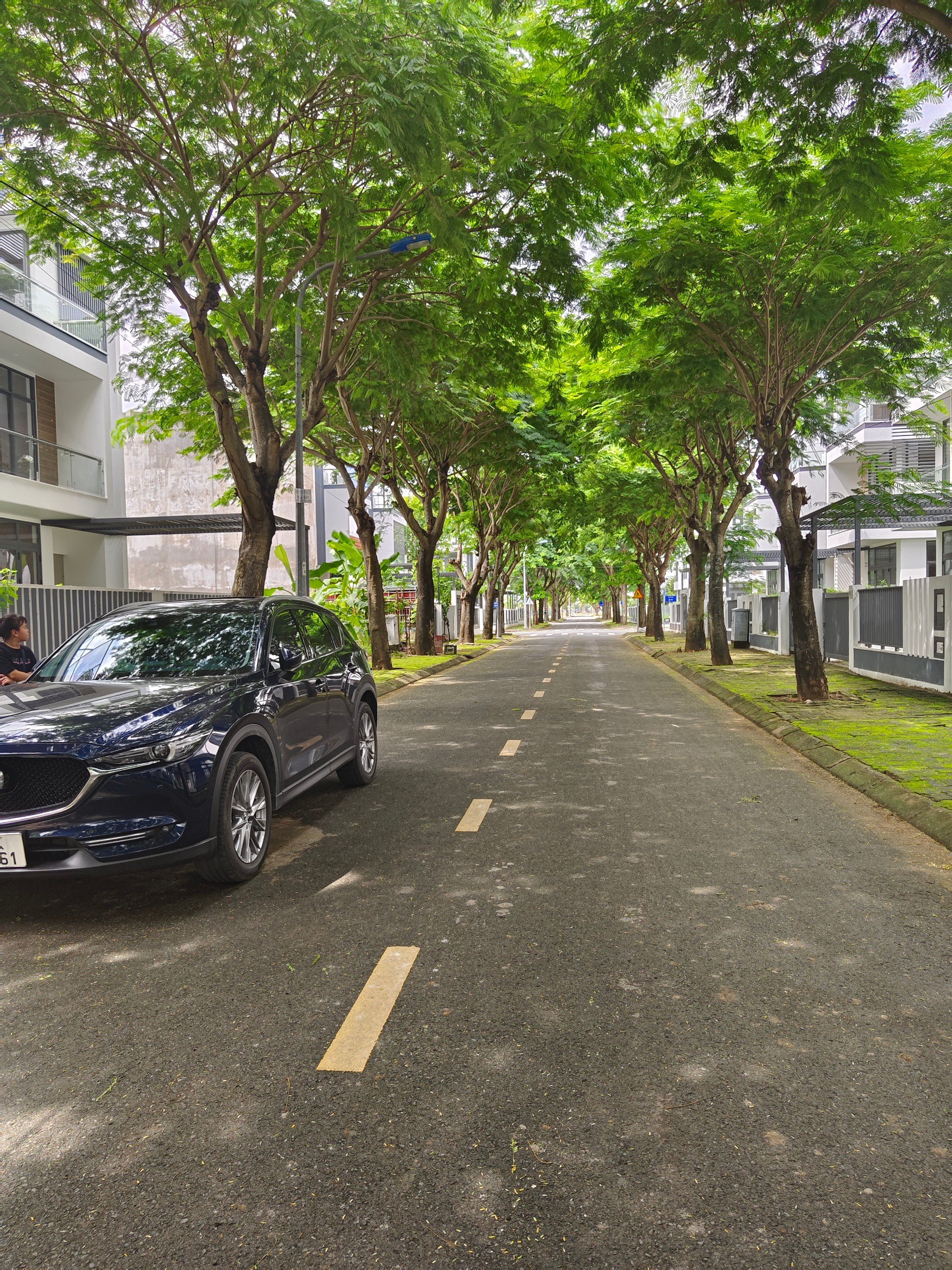 z4742781727460_0619e6540597e6b18c949c12b491ab66